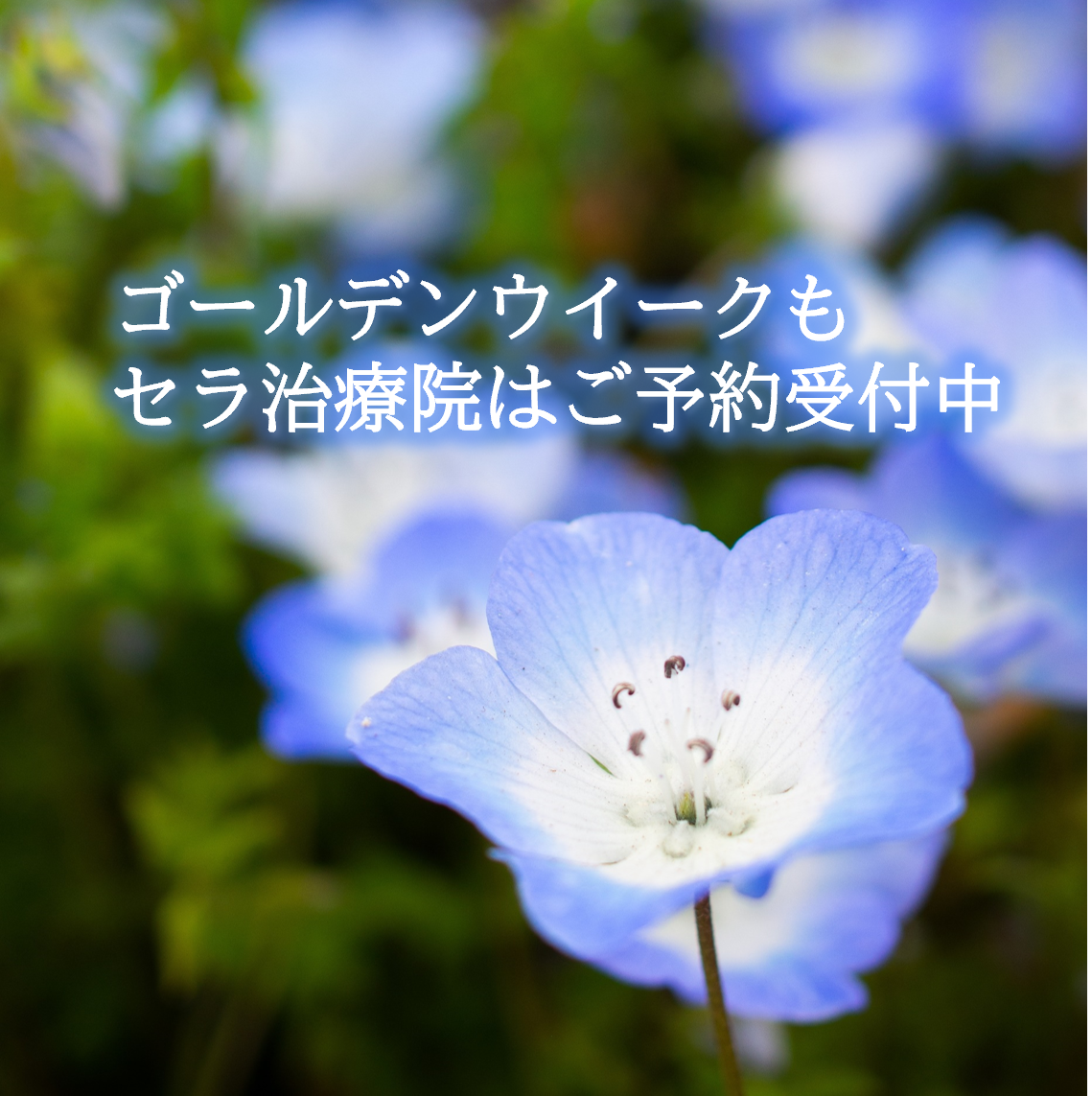 表参道セラ治療院はゴールデンウイークも休まず営業しています